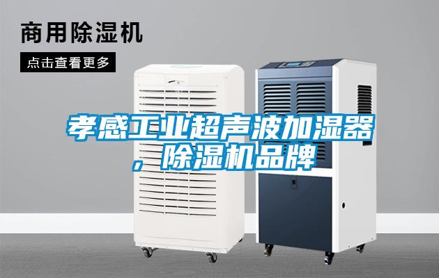 孝感工業超聲波加濕器，除濕機品牌