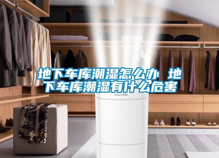 地下車(chē)庫(kù)潮濕怎么辦 地下車(chē)庫(kù)潮濕有什么危害