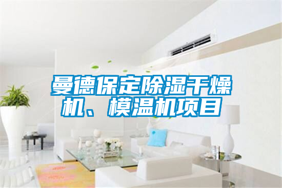 曼德保定除濕干燥機(jī)、模溫機(jī)項(xiàng)目