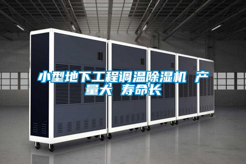 小型地下工程調(diào)溫除濕機 產(chǎn)量大 壽命長