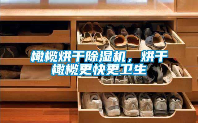 橄欖烘干除濕機(jī)，烘干橄欖更快更衛(wèi)生