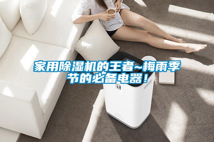 家用除濕機(jī)的王者~梅雨季節(jié)的必備電器！