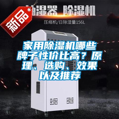 家用除濕機(jī)哪些牌子性價(jià)比高？原理、選購(gòu)、效果以及推薦