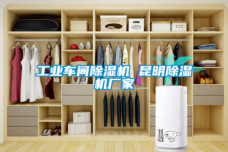 工業車間除濕機 昆明除濕機廠家