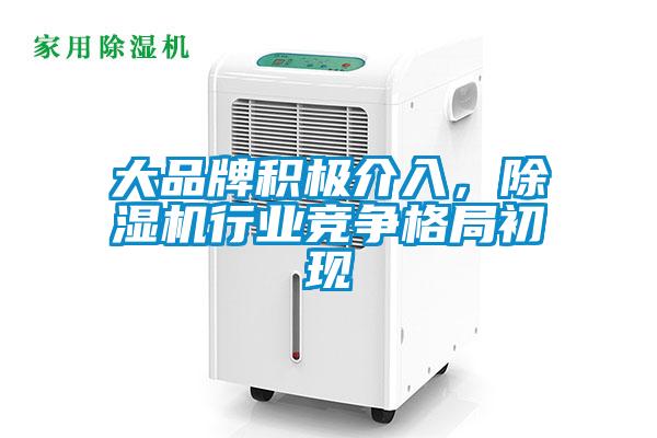 大品牌積極介入，除濕機行業競爭格局初現