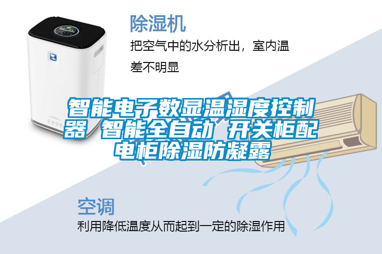 智能電子數(shù)顯溫濕度控制器 智能全自動(dòng) 開關(guān)柜配電柜除濕防凝露