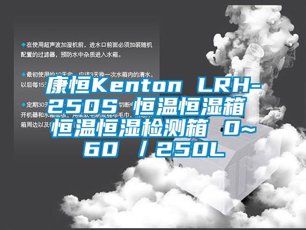 康恒Kenton LRH-250S 恒溫恒濕箱 恒溫恒濕檢測(cè)箱 0~60℃／250L