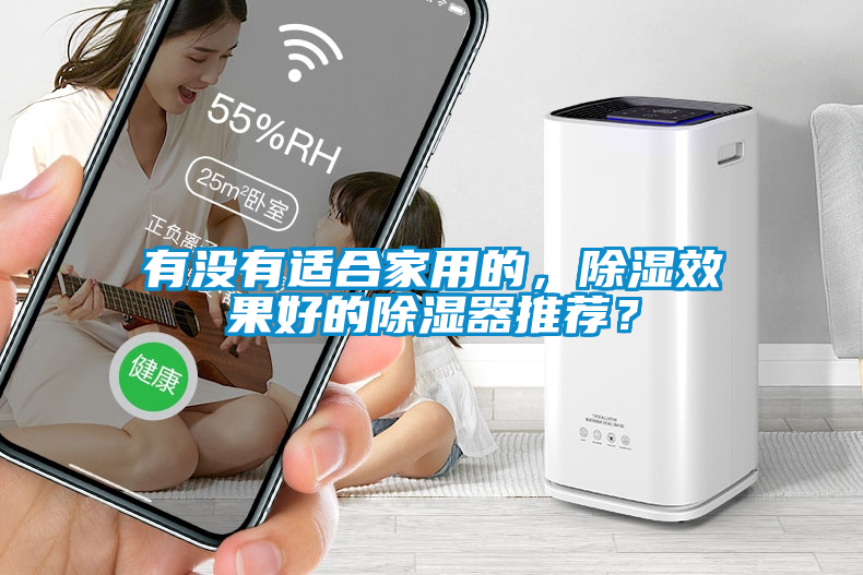 有沒有適合家用的，除濕效果好的除濕器推薦？
