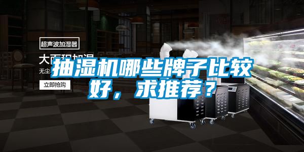 抽濕機哪些牌子比較好，求推薦？
