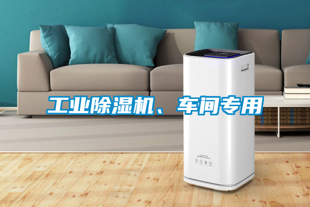 工業(yè)除濕機、車間專用