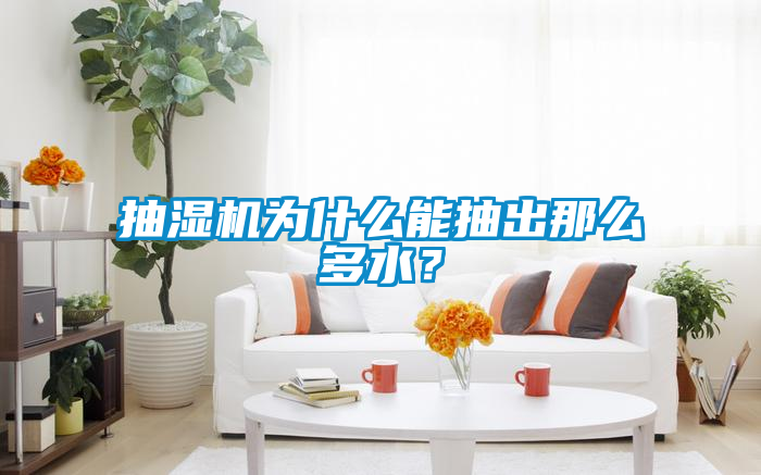 抽濕機(jī)為什么能抽出那么多水？