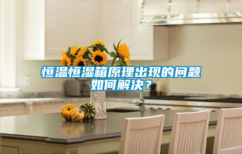 恒溫恒濕箱原理出現(xiàn)的問(wèn)題如何解決？
