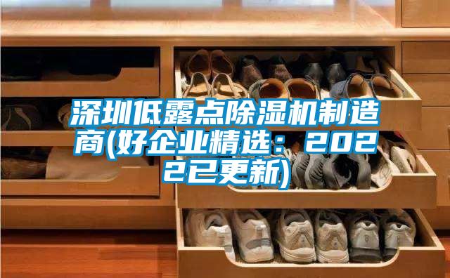 深圳低露點除濕機制造商(好企業(yè)精選：2022已更新)