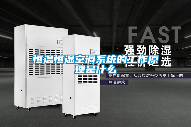 恒溫恒濕空調系統的工作原理是什么
