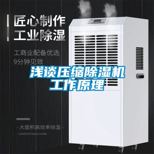 淺談壓縮除濕機工作原理