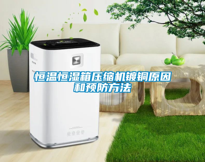 恒溫恒濕箱壓縮機鍍銅原因和預防方法