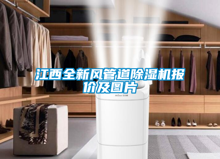 江西全新風(fēng)管道除濕機(jī)報(bào)價(jià)及圖片