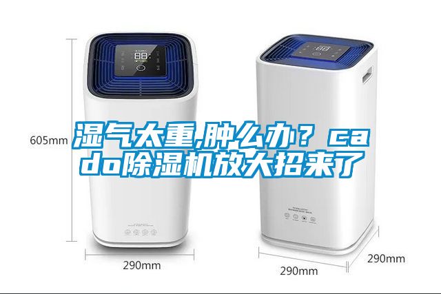 濕氣太重,腫么辦？cado除濕機放大招來了
