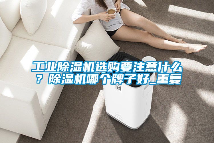 工業(yè)除濕機選購要注意什么？除濕機哪個牌子好_重復