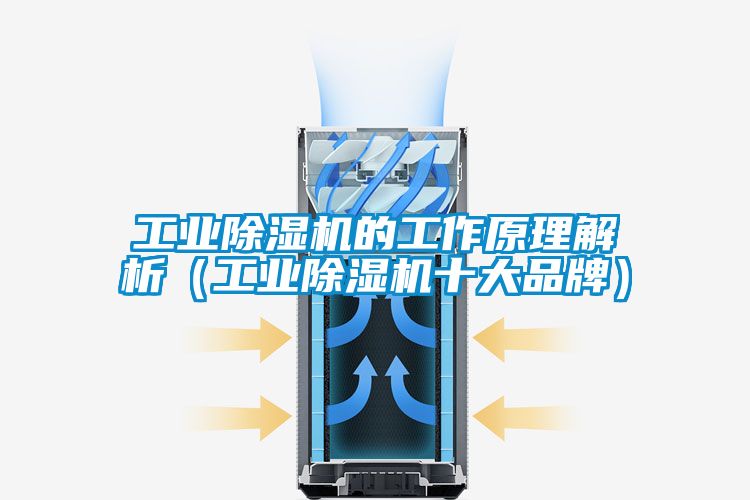 工業(yè)除濕機(jī)的工作原理解析（工業(yè)除濕機(jī)十大品牌）