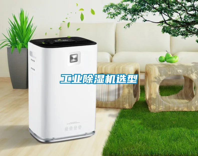 工業(yè)除濕機(jī)選型