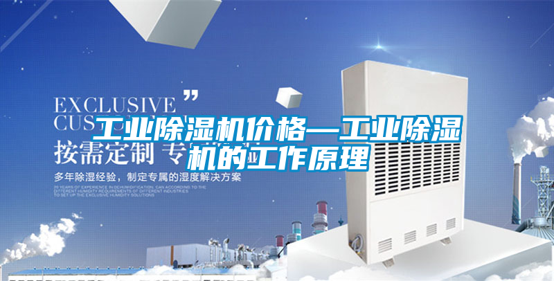 工業(yè)除濕機(jī)價(jià)格—工業(yè)除濕機(jī)的工作原理