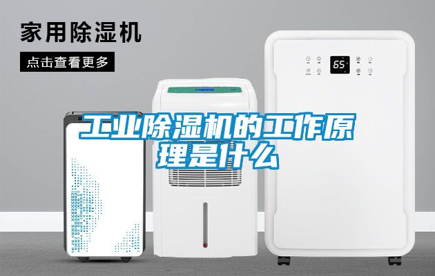 工業除濕機的工作原理是什么