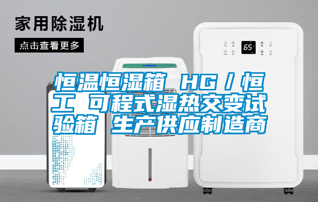 恒溫恒濕箱 HG／恒工 可程式濕熱交變試驗(yàn)箱 生產(chǎn)供應(yīng)制造商