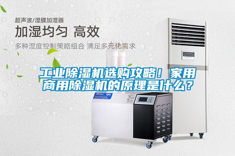 工業除濕機選購攻略！家用商用除濕機的原理是什么？