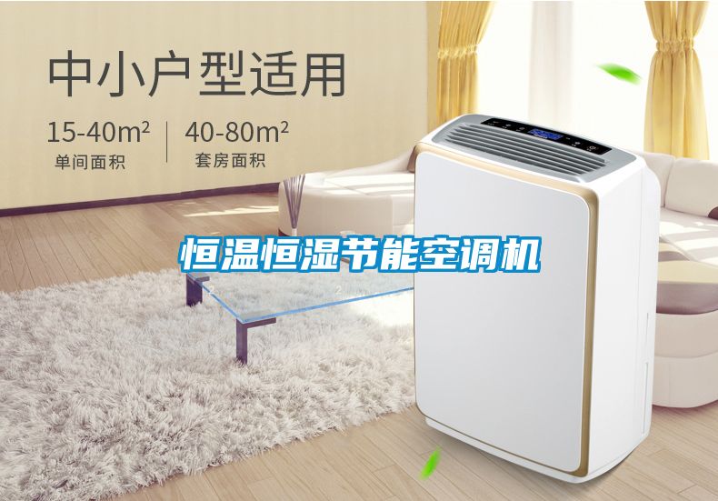 恒溫恒濕節(jié)能空調(diào)機