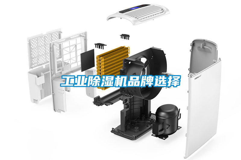工業(yè)除濕機(jī)品牌選擇