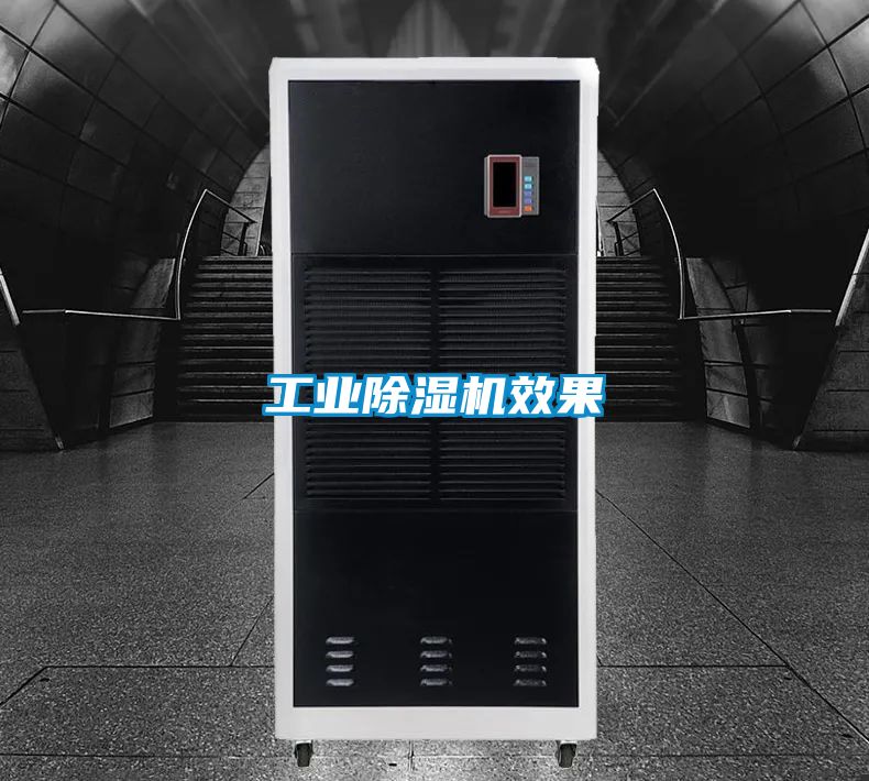 工業除濕機效果