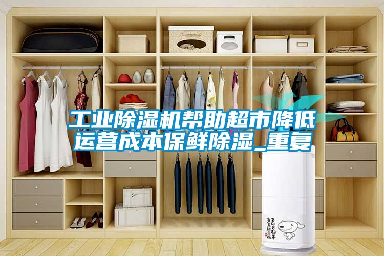 工業(yè)除濕機(jī)幫助超市降低運(yùn)營成本保鮮除濕_重復(fù)