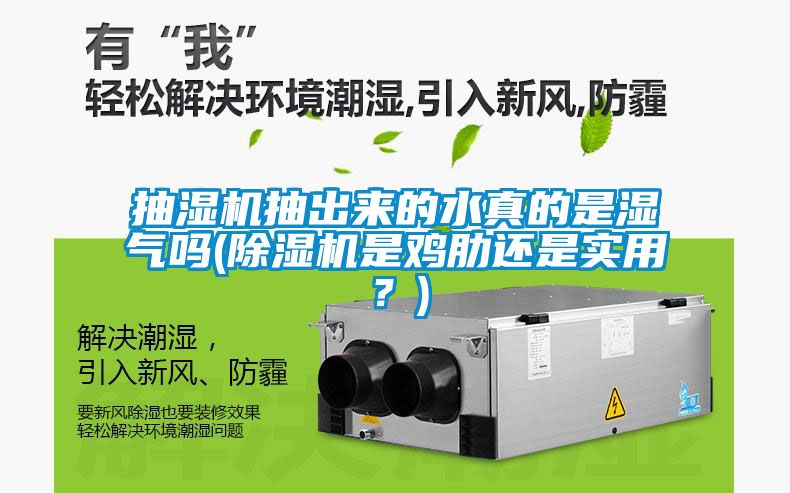 抽濕機(jī)抽出來的水真的是濕氣嗎(除濕機(jī)是雞肋還是實(shí)用？)