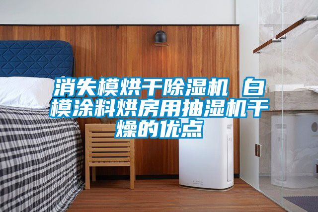 消失模烘干除濕機 白模涂料烘房用抽濕機干燥的優(yōu)點