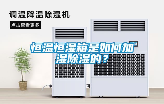 恒溫恒濕箱是如何加濕除濕的？