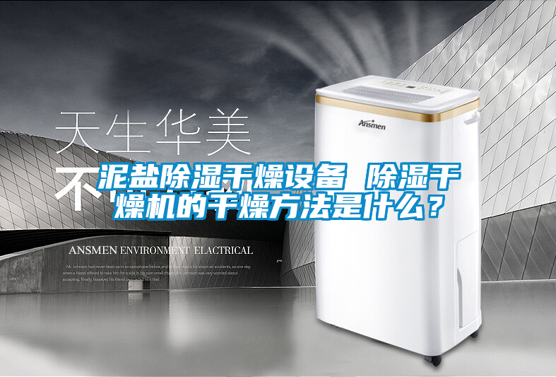 泥鹽除濕干燥設(shè)備 除濕干燥機(jī)的干燥方法是什么？