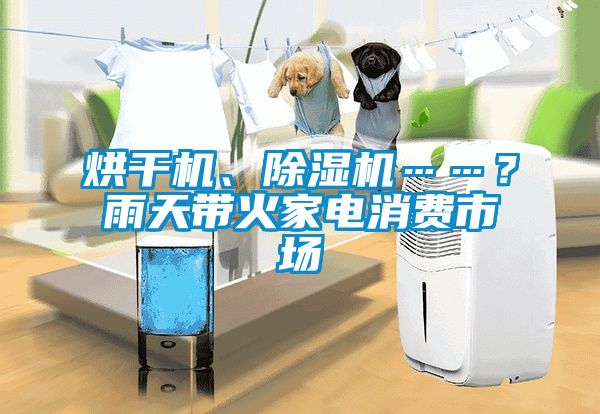 烘干機(jī)、除濕機(jī)……？雨天帶火家電消費(fèi)市場