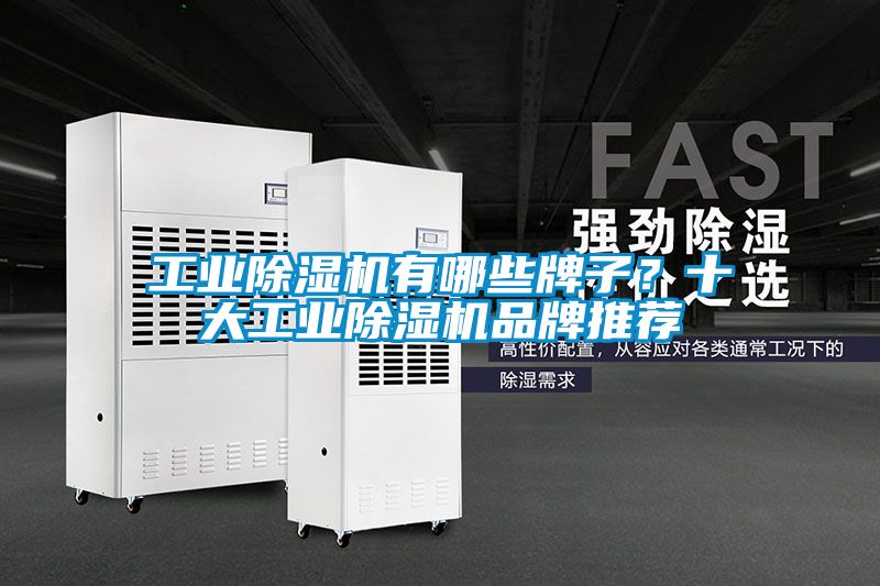 工業除濕機有哪些牌子？十大工業除濕機品牌推薦