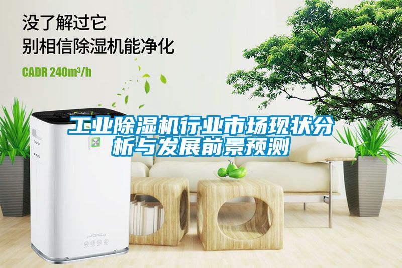 工業(yè)除濕機(jī)行業(yè)市場現(xiàn)狀分析與發(fā)展前景預(yù)測(cè)