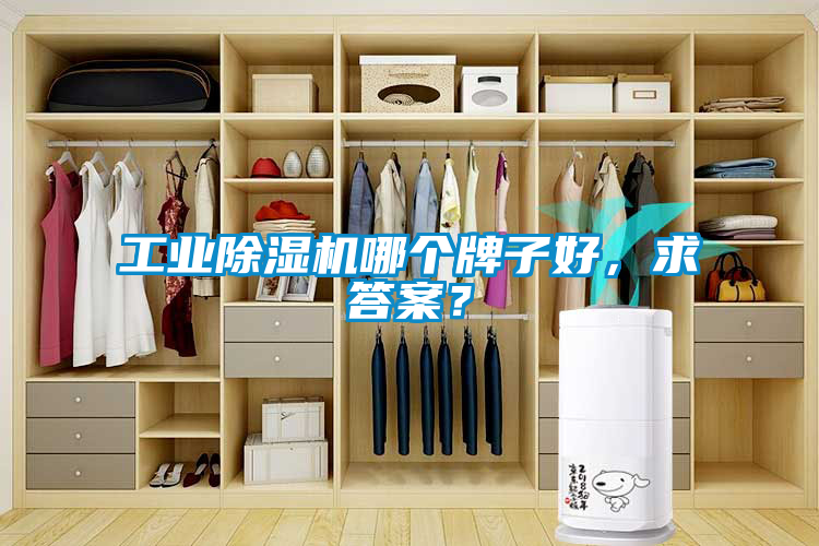 工業(yè)除濕機哪個牌子好，求答案？
