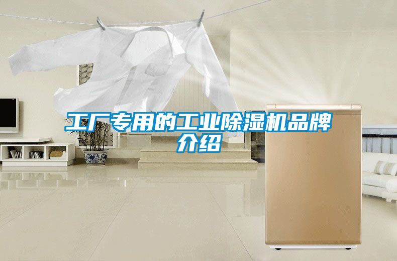 工廠(chǎng)專(zhuān)用的工業(yè)除濕機(jī)品牌介紹