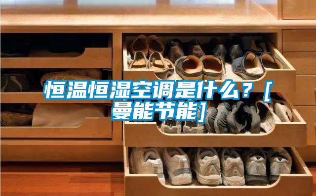 恒溫恒濕空調是什么？[曼能節(jié)能]