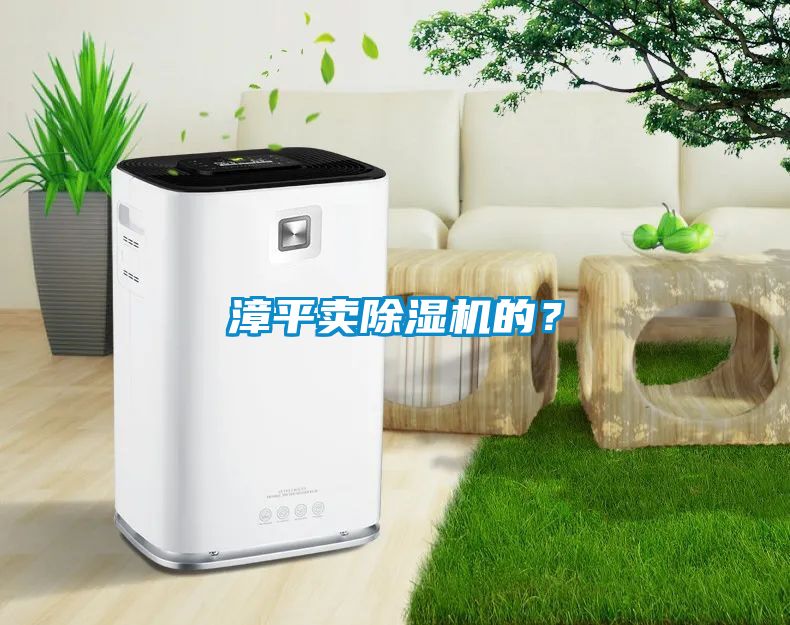 漳平賣除濕機的？