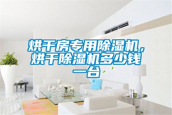 烘干房專用除濕機(jī)，烘干除濕機(jī)多少錢一臺