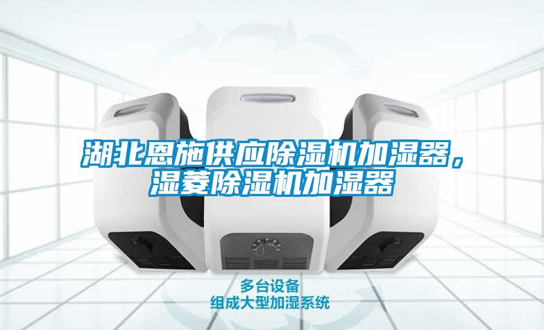 湖北恩施供應(yīng)除濕機加濕器，濕菱除濕機加濕器