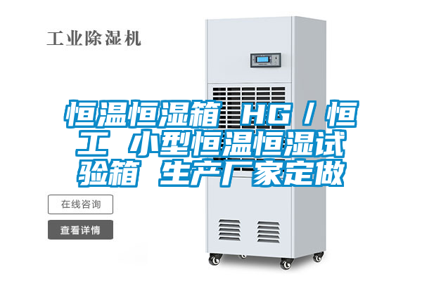 恒溫恒濕箱 HG／恒工 小型恒溫恒濕試驗箱 生產廠家定做