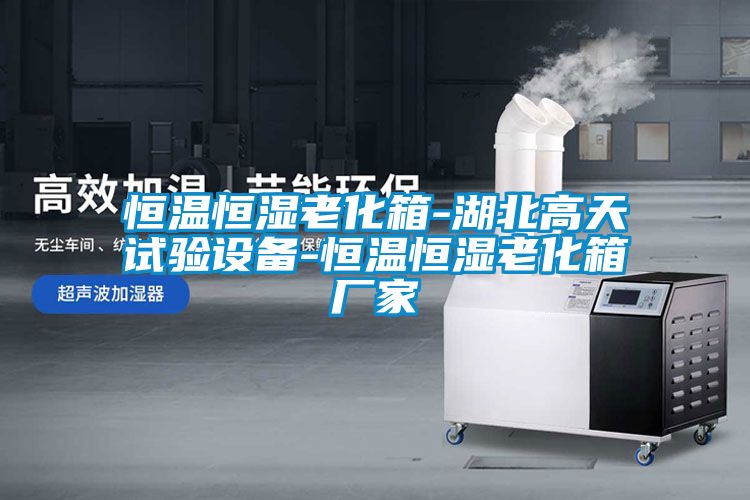 恒溫恒濕老化箱-湖北高天試驗設備-恒溫恒濕老化箱廠家