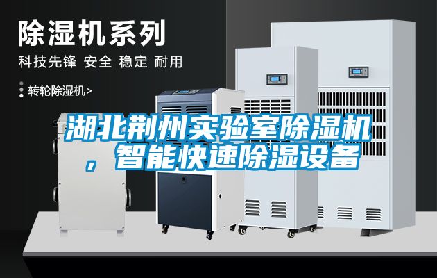 湖北荊州實(shí)驗室除濕機(jī)，智能快速除濕設(shè)備