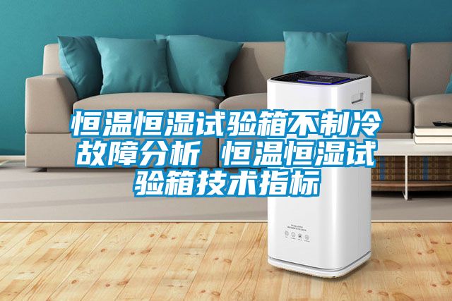 恒溫恒濕試驗箱不制冷故障分析 恒溫恒濕試驗箱技術(shù)指標(biāo)